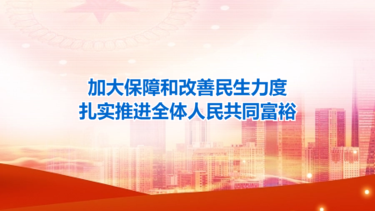 加大保障和改善民生力度，扎实推进全体人民共同富裕