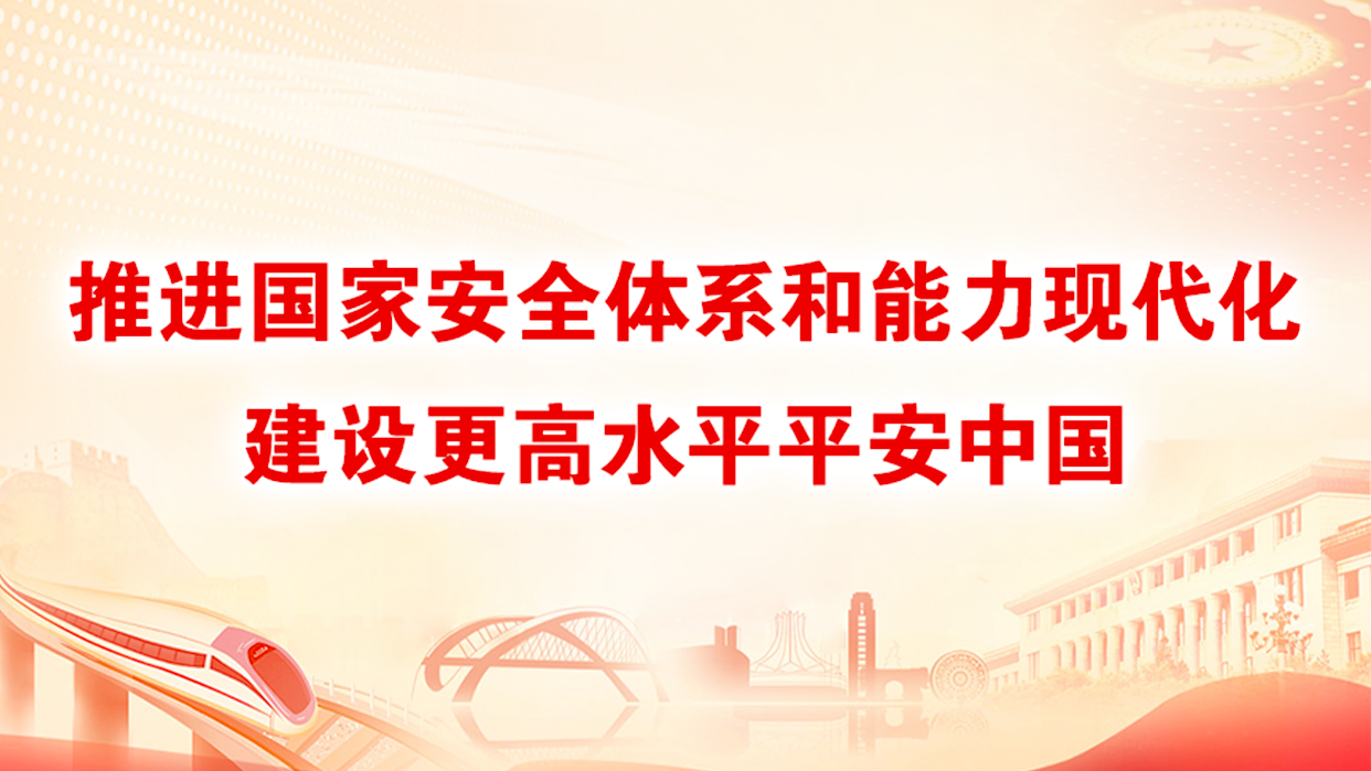 推进国家安全体系和能力现代化建设更高水平平安中国