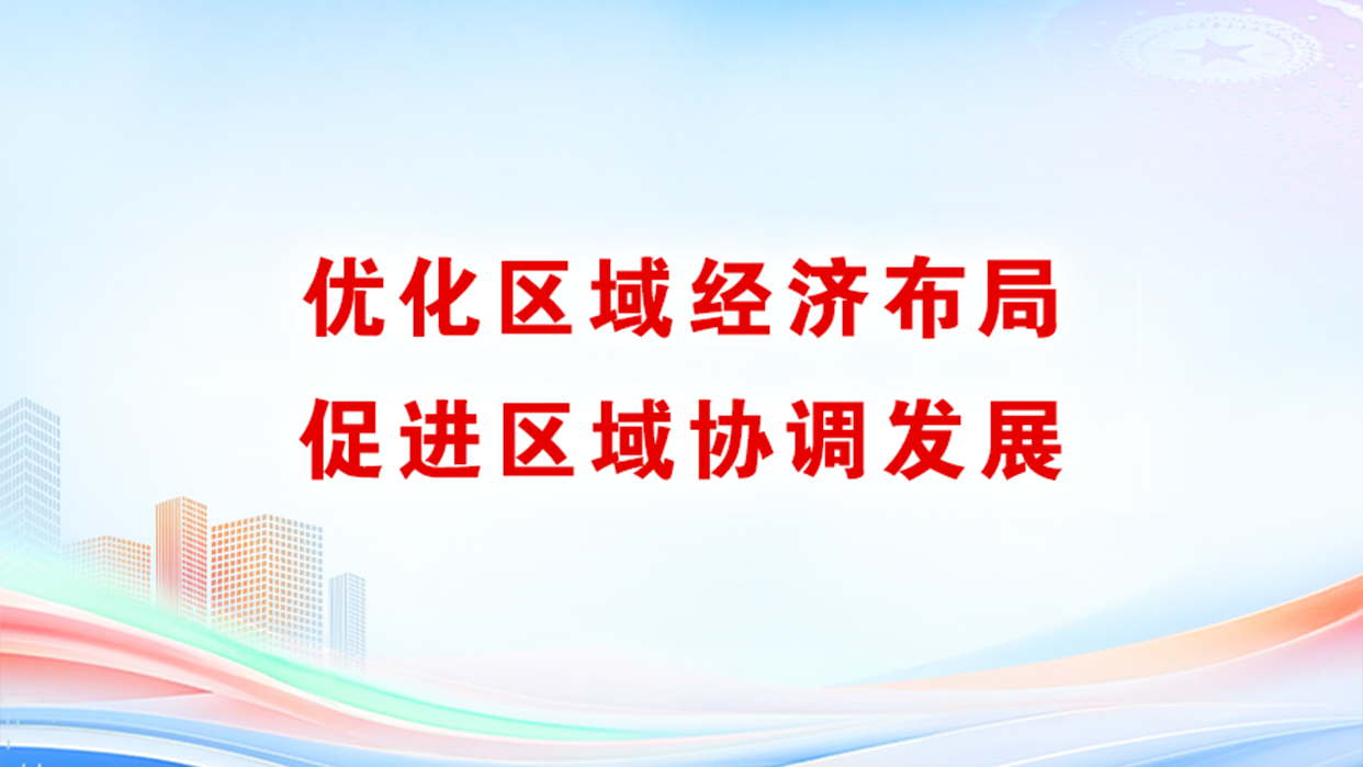 优化区域经济布局促进区域协调发展